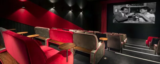 cinema seats at everyman reigate